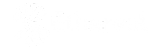 Ethereal Logo